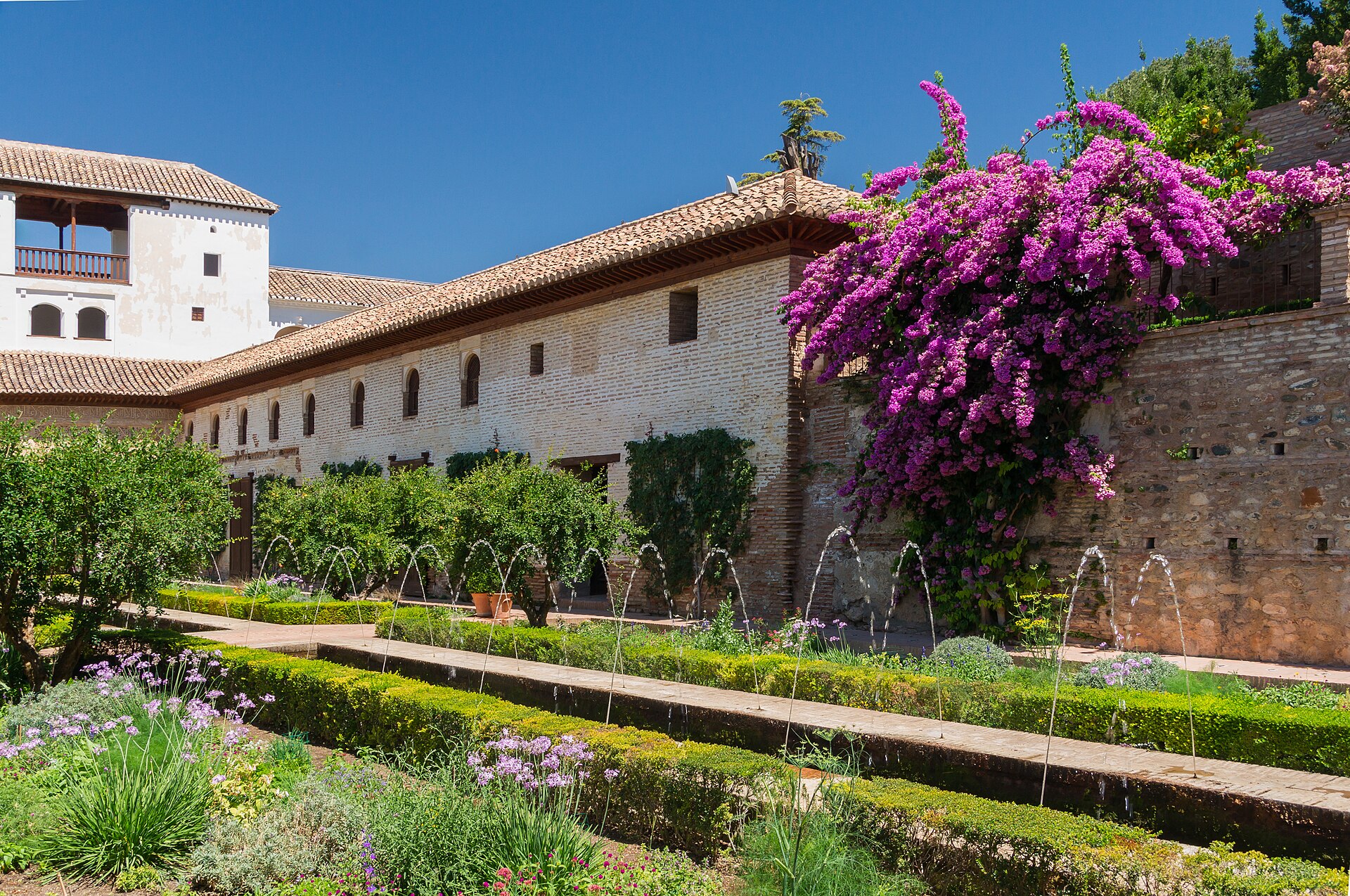 il patio de la acequia del generalife, con il canale d’acqua fra le aiuole, i getti delle fontane, i portici bianchi e una bouganville fiorita