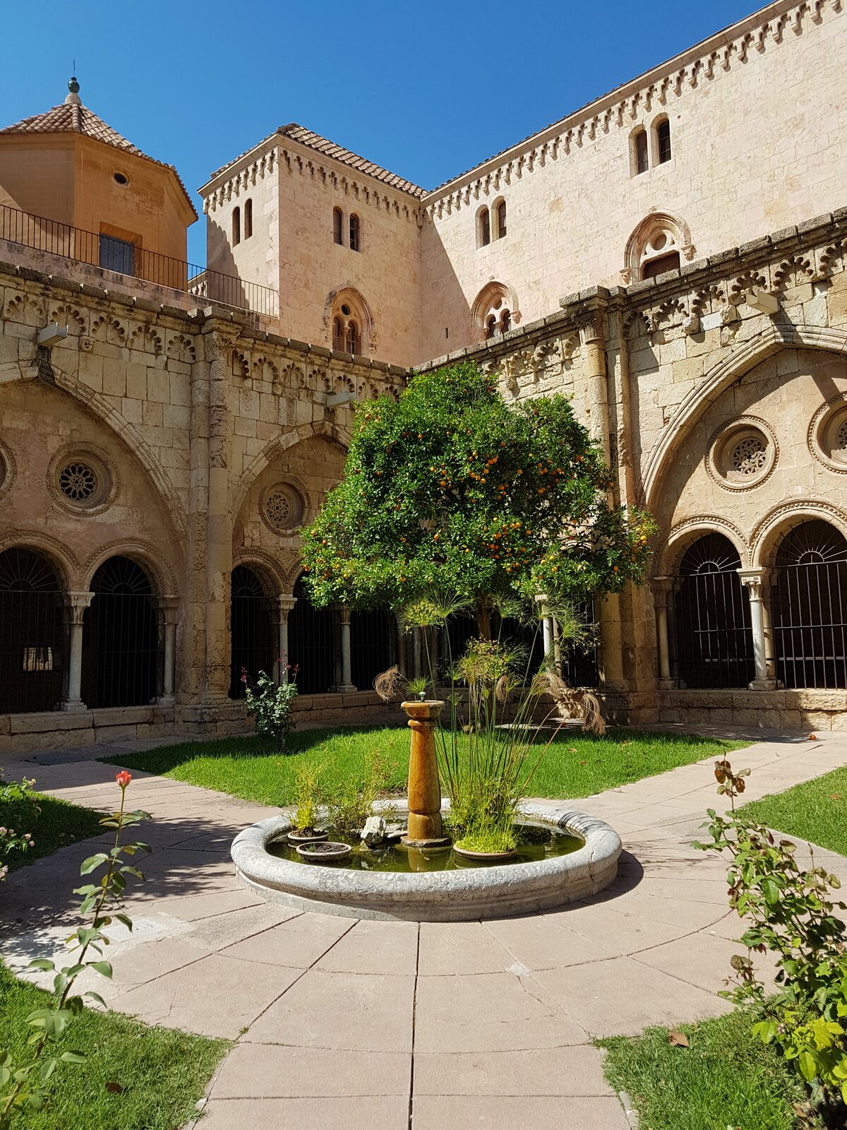the garden of the cloister of Tarragona Cathedral, with the basin, the orange tree and the pierced oculi