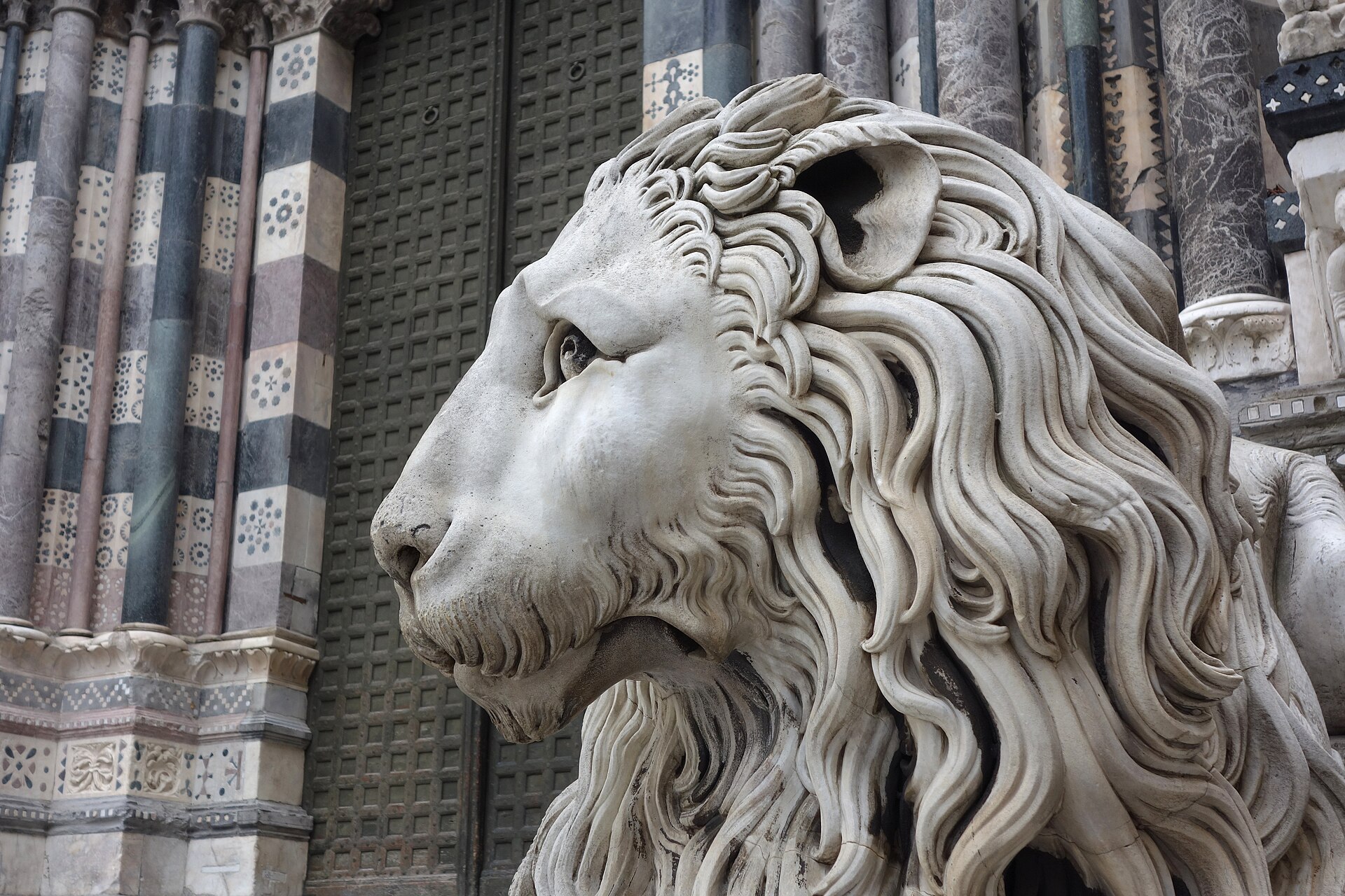 el leon de marmol en la escalinata de la catedral de san lorenzo de genova, con las columnas a franjas detras