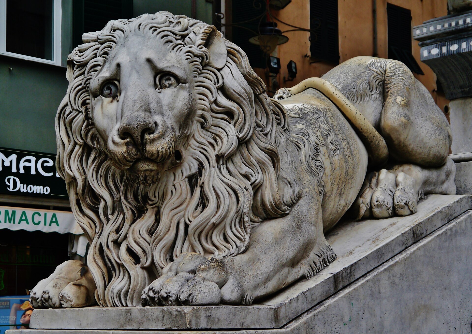 marble lion at the foot of the steps of genoa cathedral