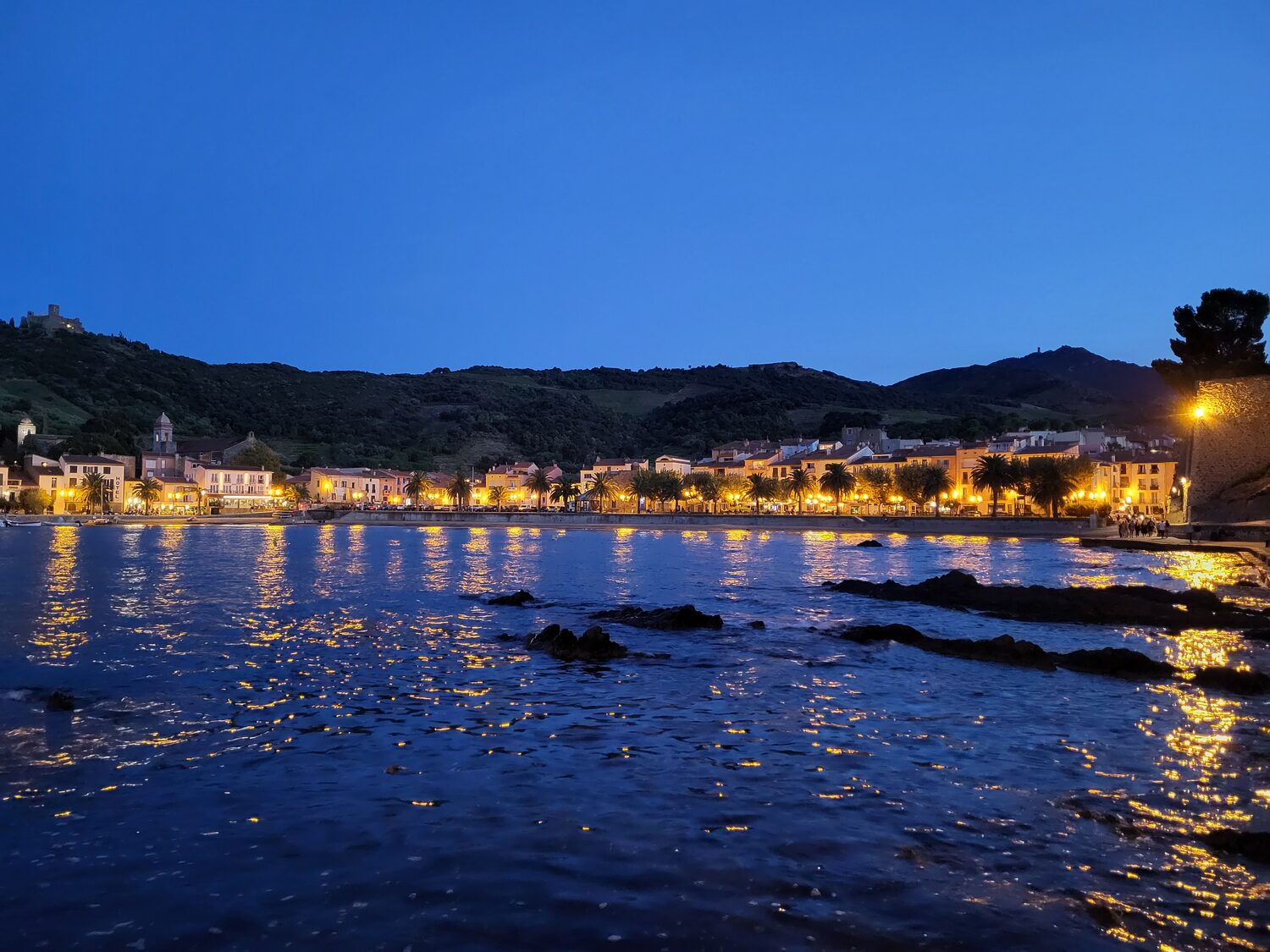 la baia di Collioure all’ora blu, con il lungomare illuminato, le palme e il Fort Saint-Elme sul crinale