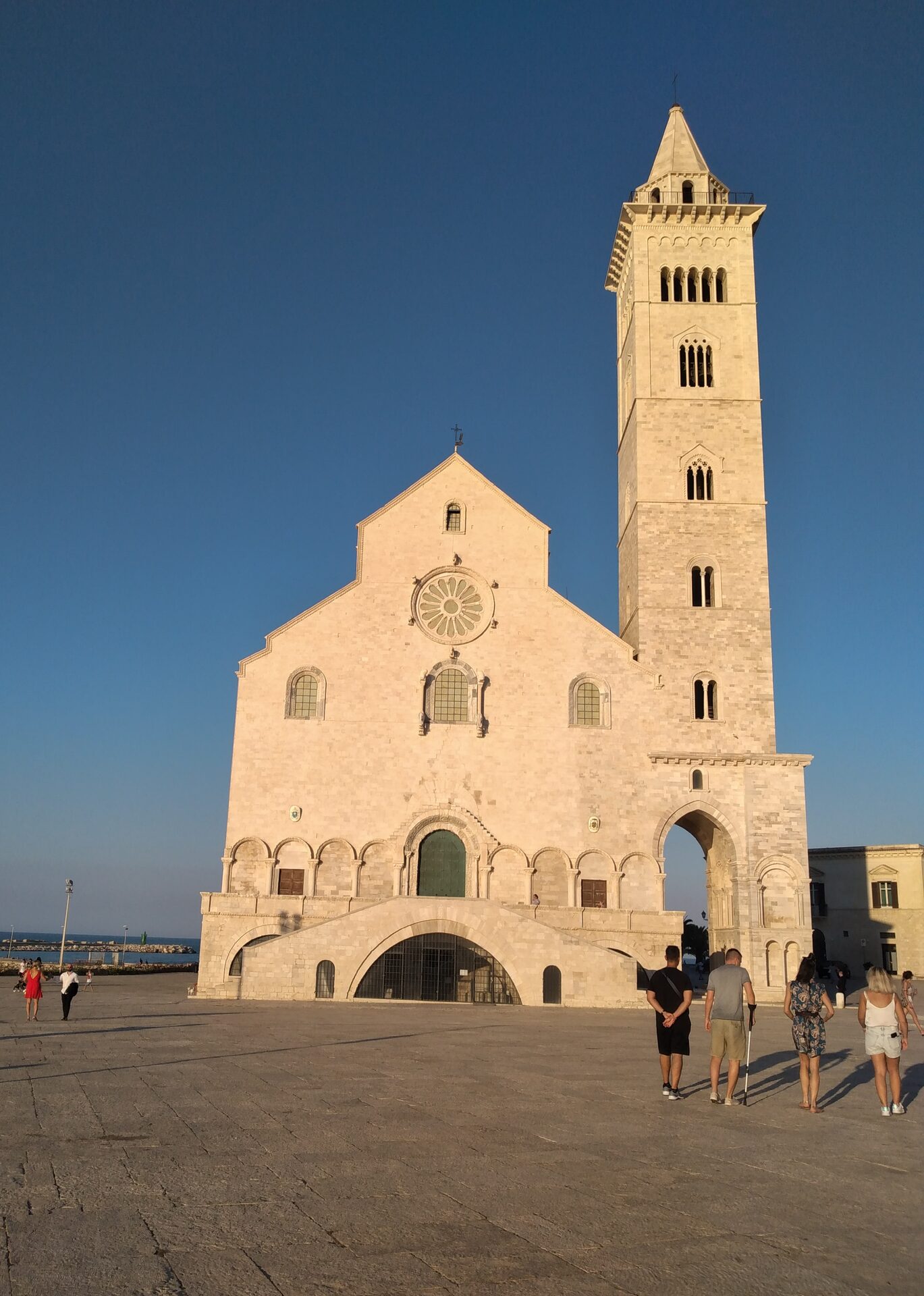 the cathedral of trani seen from the sea with its bell tower and the houses of the old harbour