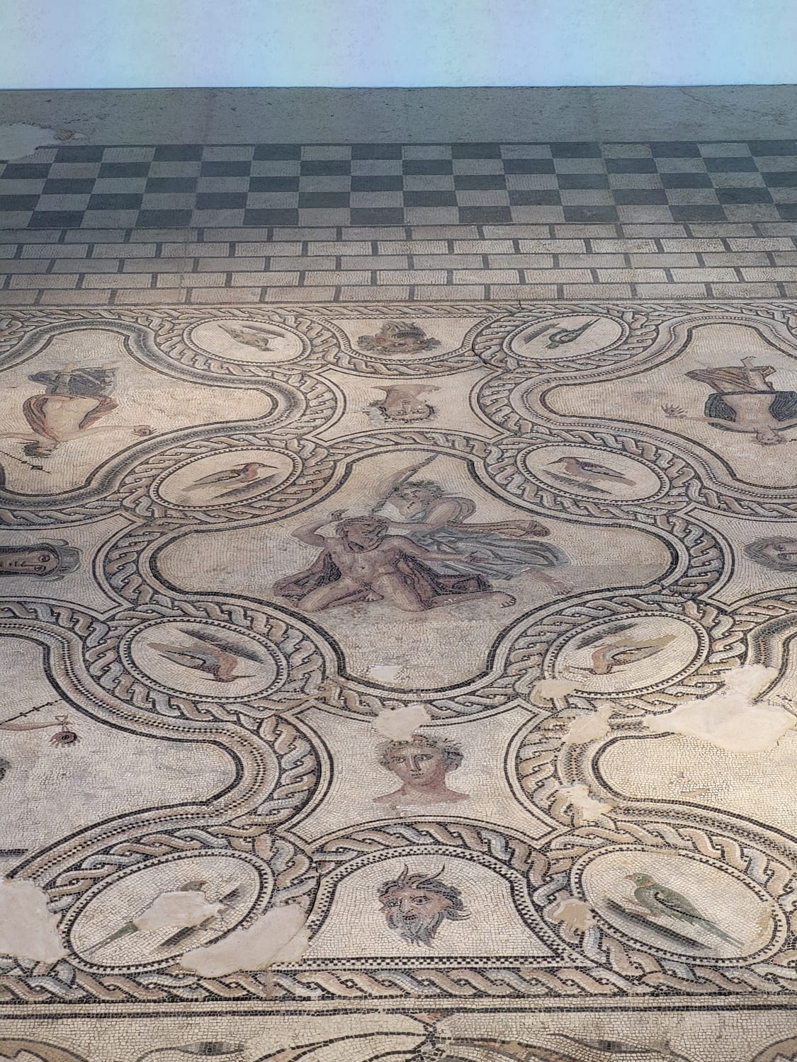 un gran mosaico de pavimento romano con medallones de pájaros y una figura central, en el Musée de la Romanité de Nimes