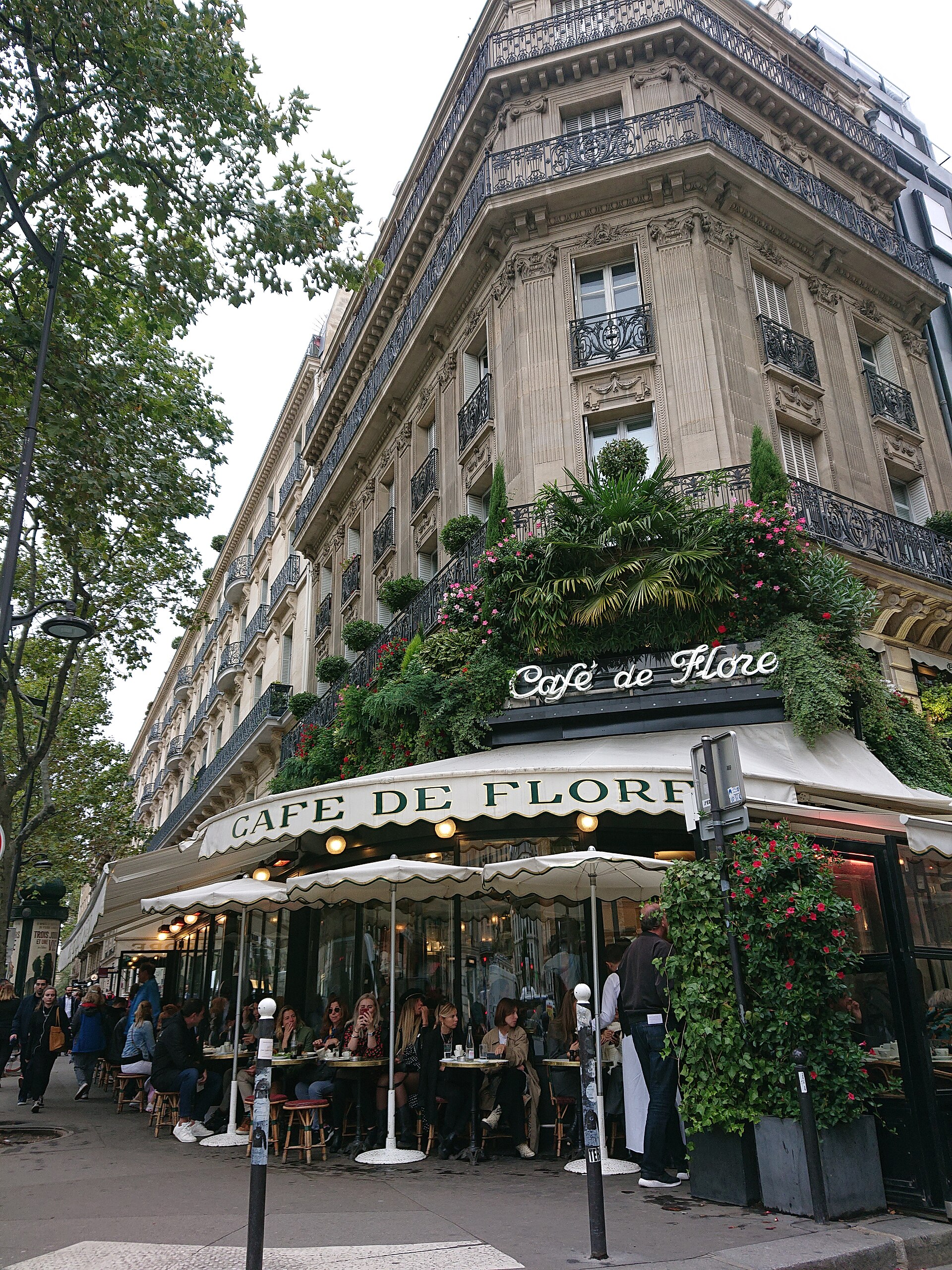 il café de flore all angolo del boulevard saint germain a parigi, con la tenda verde e bianca, gli ombrelloni chiari, i tavolini occupati sul marciapiede e il balcone del primo piano coperto di palme e fiori rosa