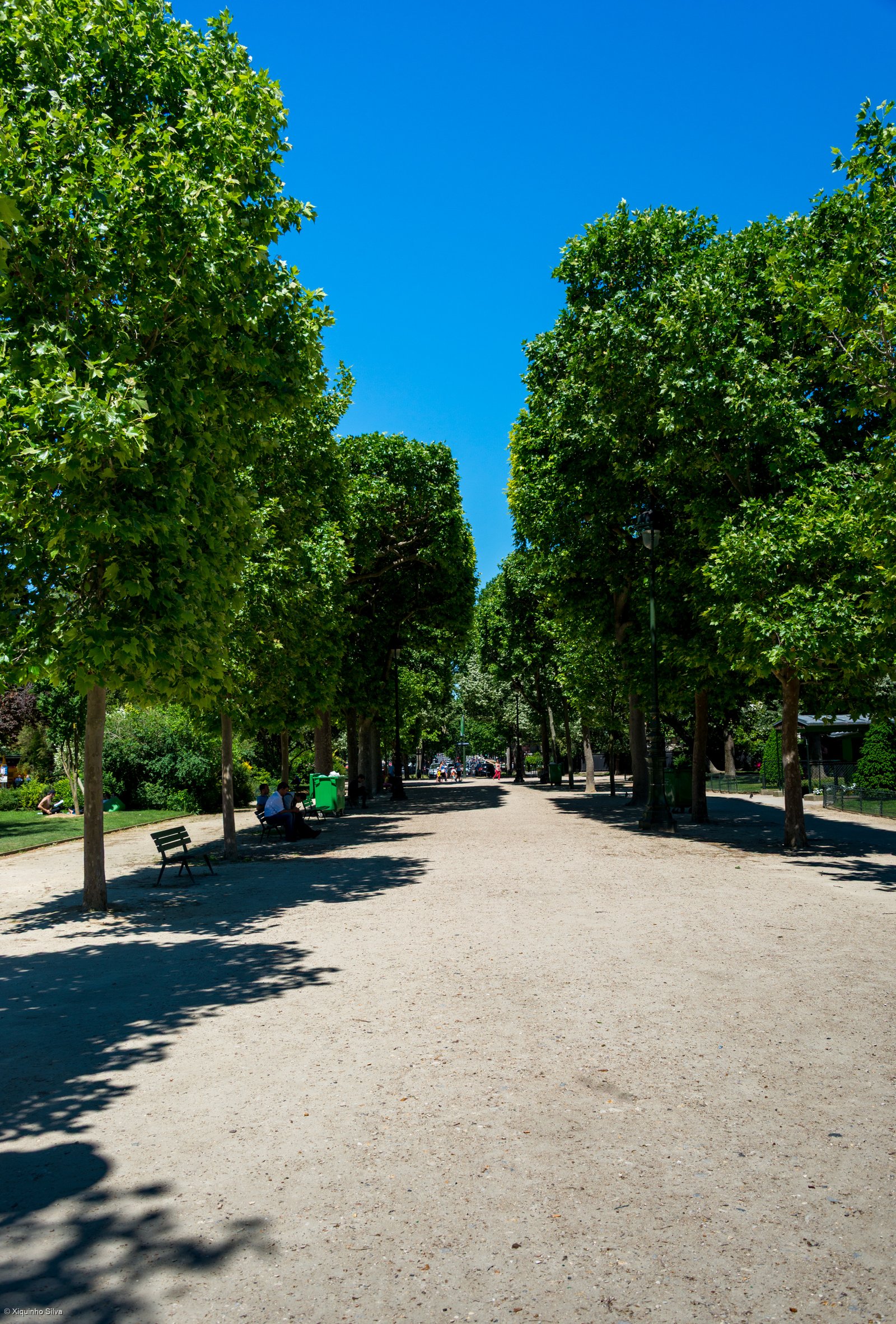 il parco del champ de mars a parigi con un viale alberato, panchine all’ombra e la gente seduta a godersi il verde