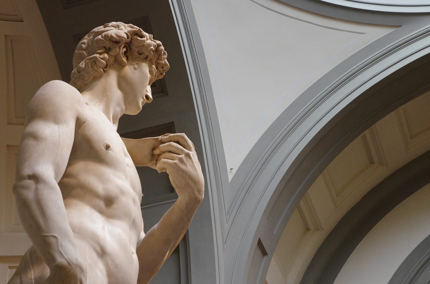 il volto del david di michelangelo di profilo, con la mano che regge la fionda sulla spalla
