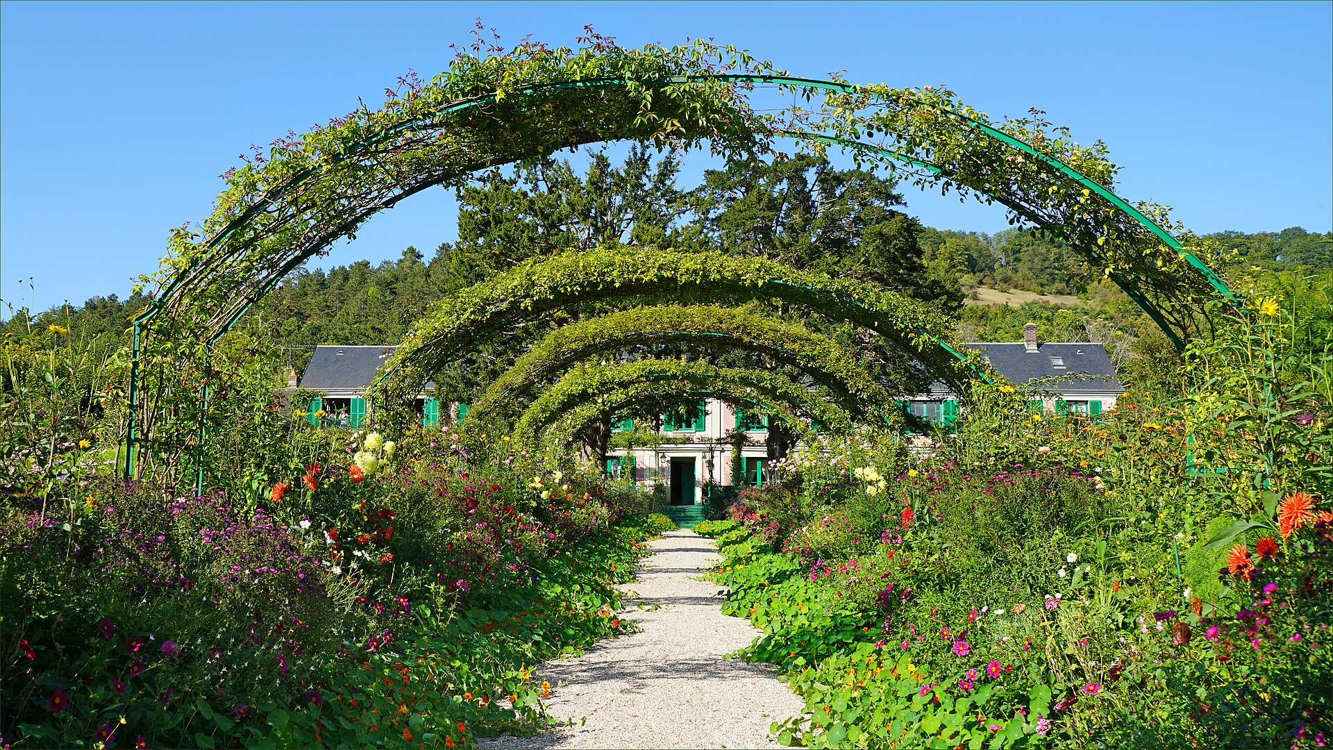 il grande viale del clos normand a giverny, con gli archi di rose rampicanti sopra il vialetto di ghiaia e la casa di monet sullo sfondo