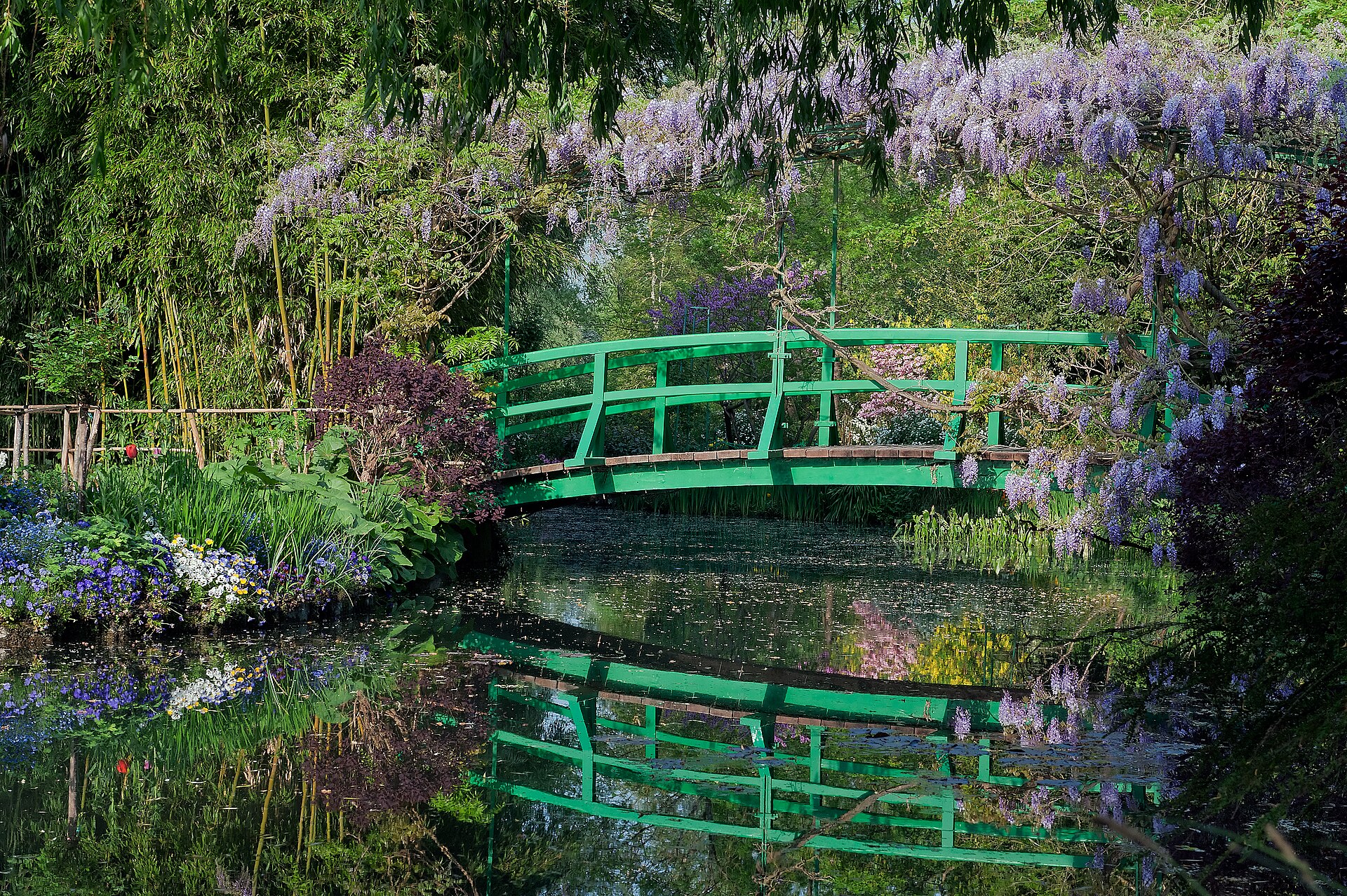 il ponte giapponese verde sopra lo stagno delle ninfee a giverny, con i glicini fioriti e i salici che si specchiano nell’acqua