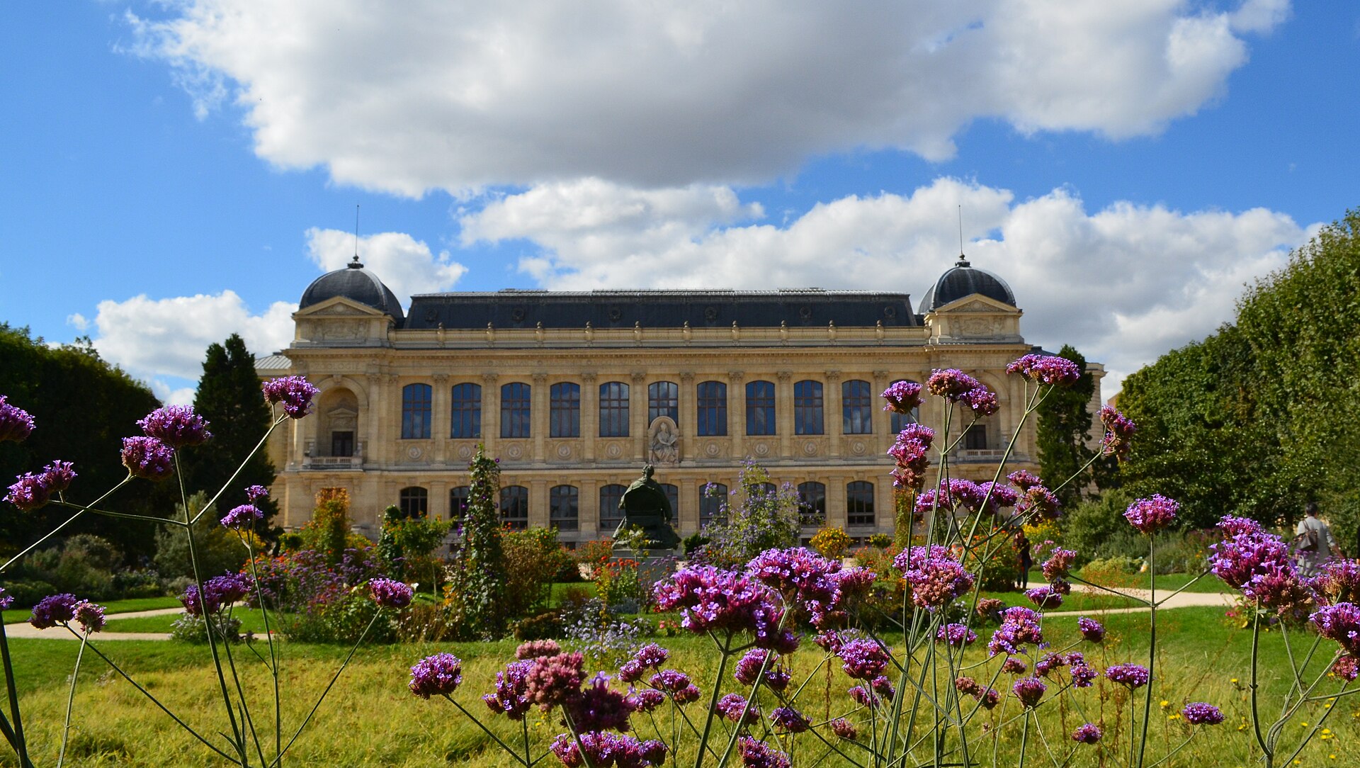 la facciata neoclassica della grande galerie de l evolution vista dal jardin des plantes attraverso un primo piano di fiori viola, con i due padiglioni d angolo a cupola scura e la fila di alte finestre ad arco