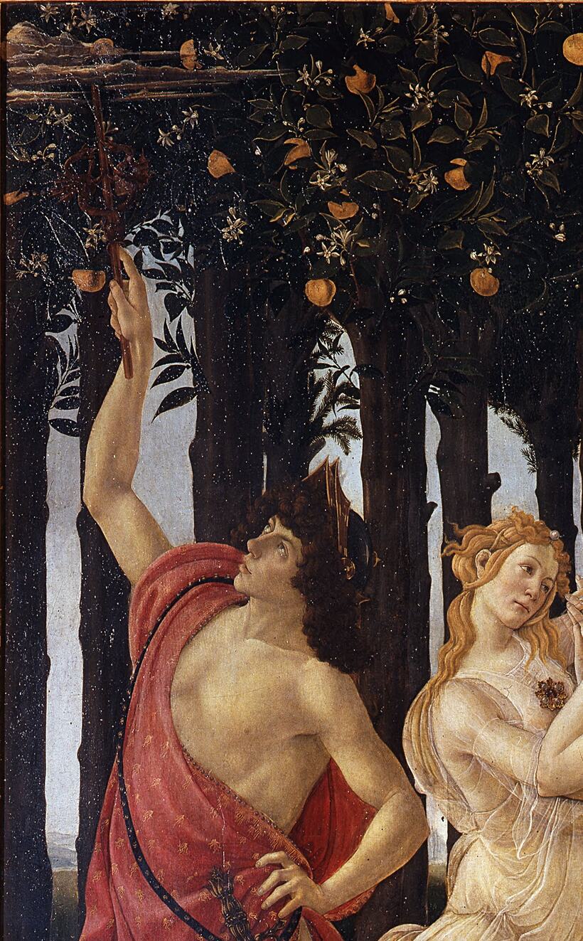 mercure au caducée levé parmi les orangers, détail du printemps de botticelli