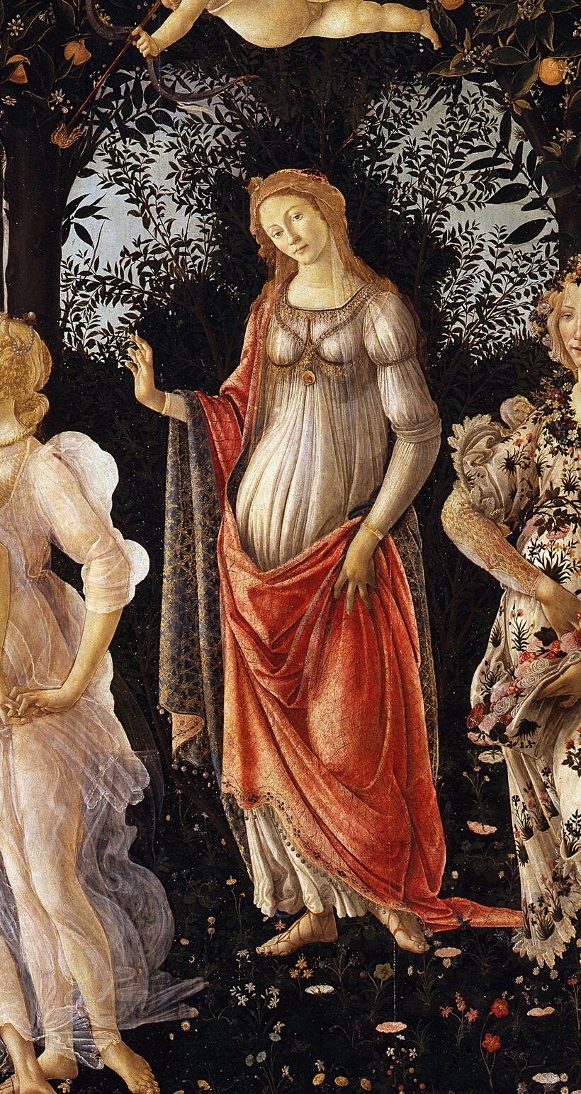 vénus au centre du printemps de botticelli, encadrée par l’arc d’arbustes