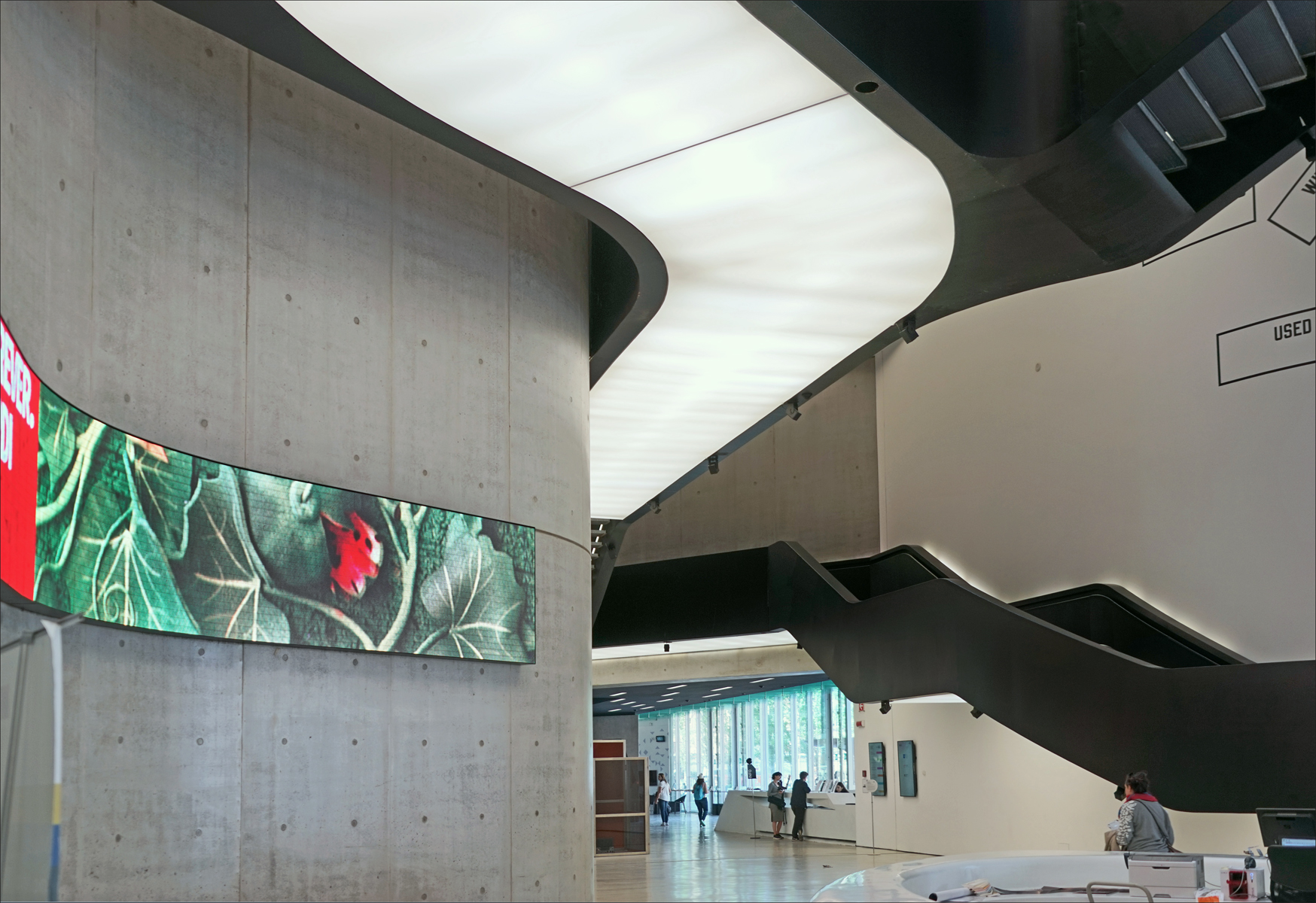 l ingresso del maxxi con il muro curvo in cemento a vista, lo schermo orizzontale incassato e la scala nera sospesa sul fondo