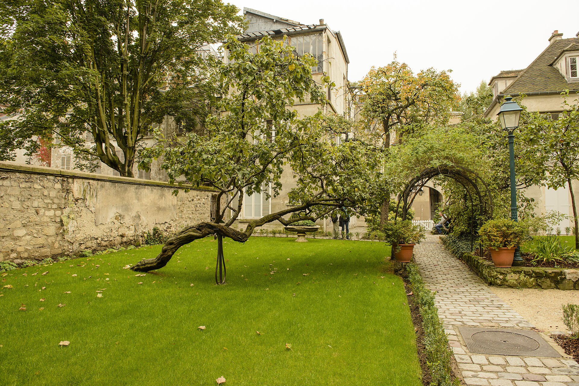 i jardins renoir del musee de montmartre, con il prato, un vecchio albero inclinato puntellato da un tutore di ferro e il tetto vetrato dell atelier che spunta dietro la vegetazione