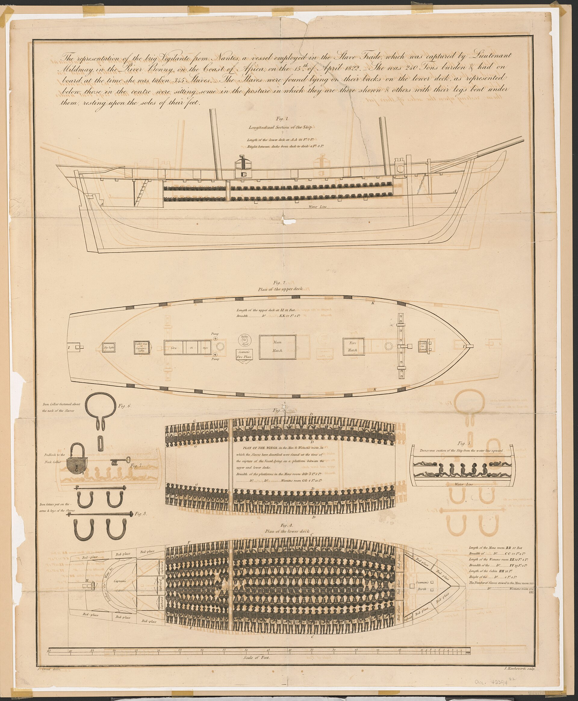 l incisione del 1823 con le sezioni del brick negriero vigilante, il ponte inferiore coperto di figure umane allineate e i ferri da schiavi disegnati a lato