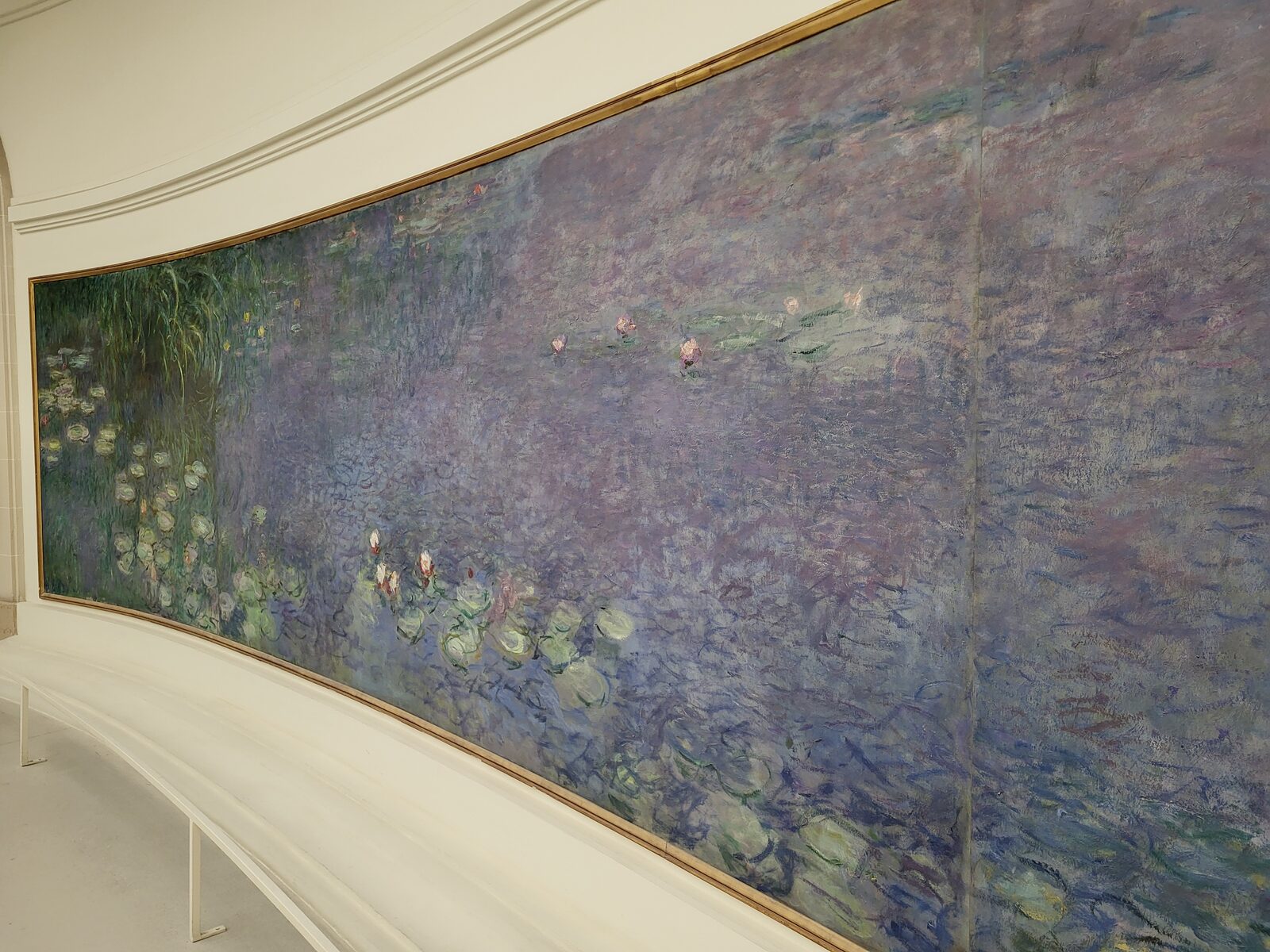 un pannello delle Ninfee con i fiori di ninfea in primo piano sull’acqua scura, nella sala ovale dell’Orangerie