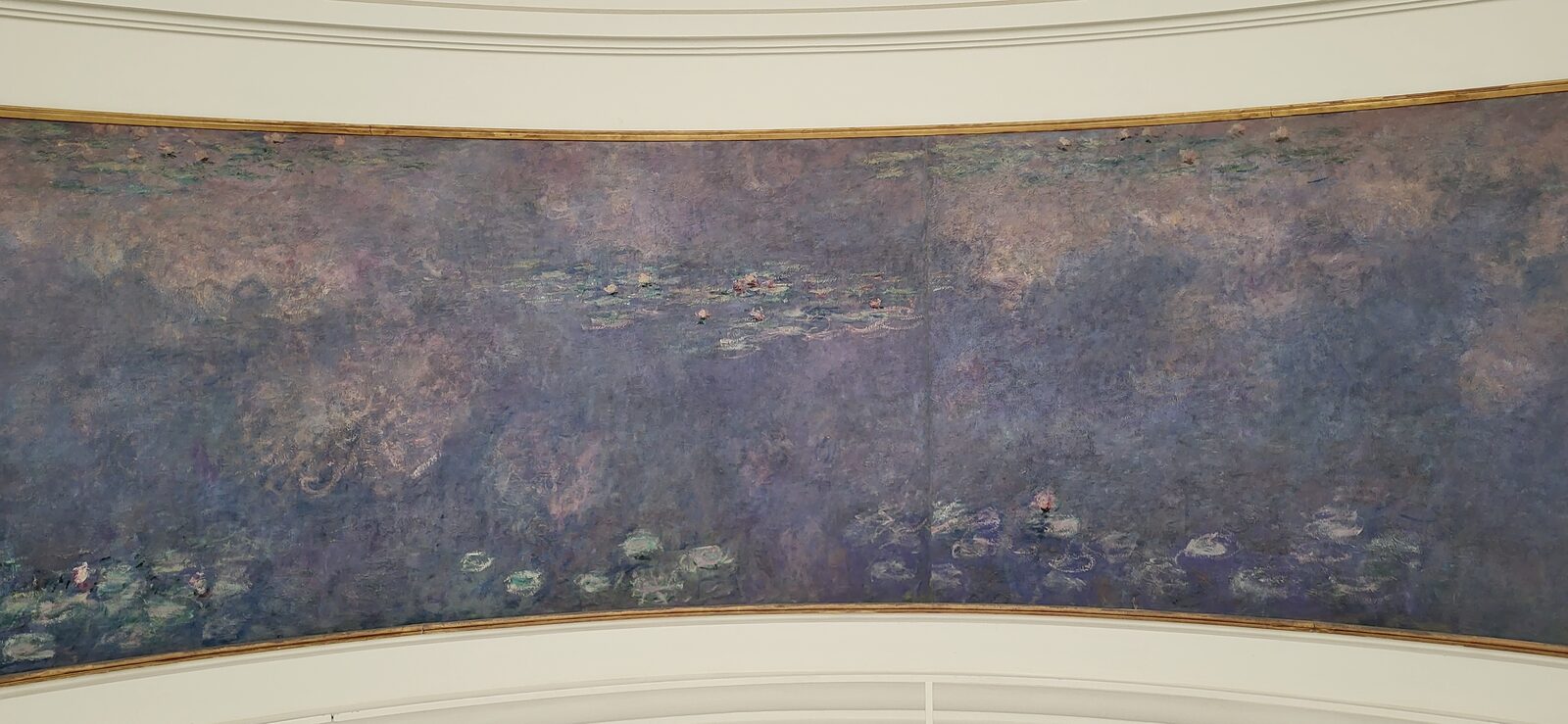 i rami del salice piangente che scendono su un pannello delle Ninfee di Monet nella seconda sala ovale dell’Orangerie
