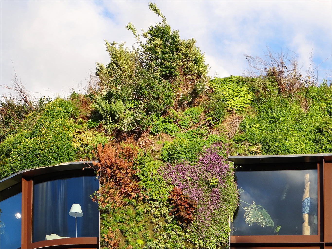 le mur vegetal du musee du quai branly, une paroi couverte de plantes vertes, rouges et violettes autour des fenetres