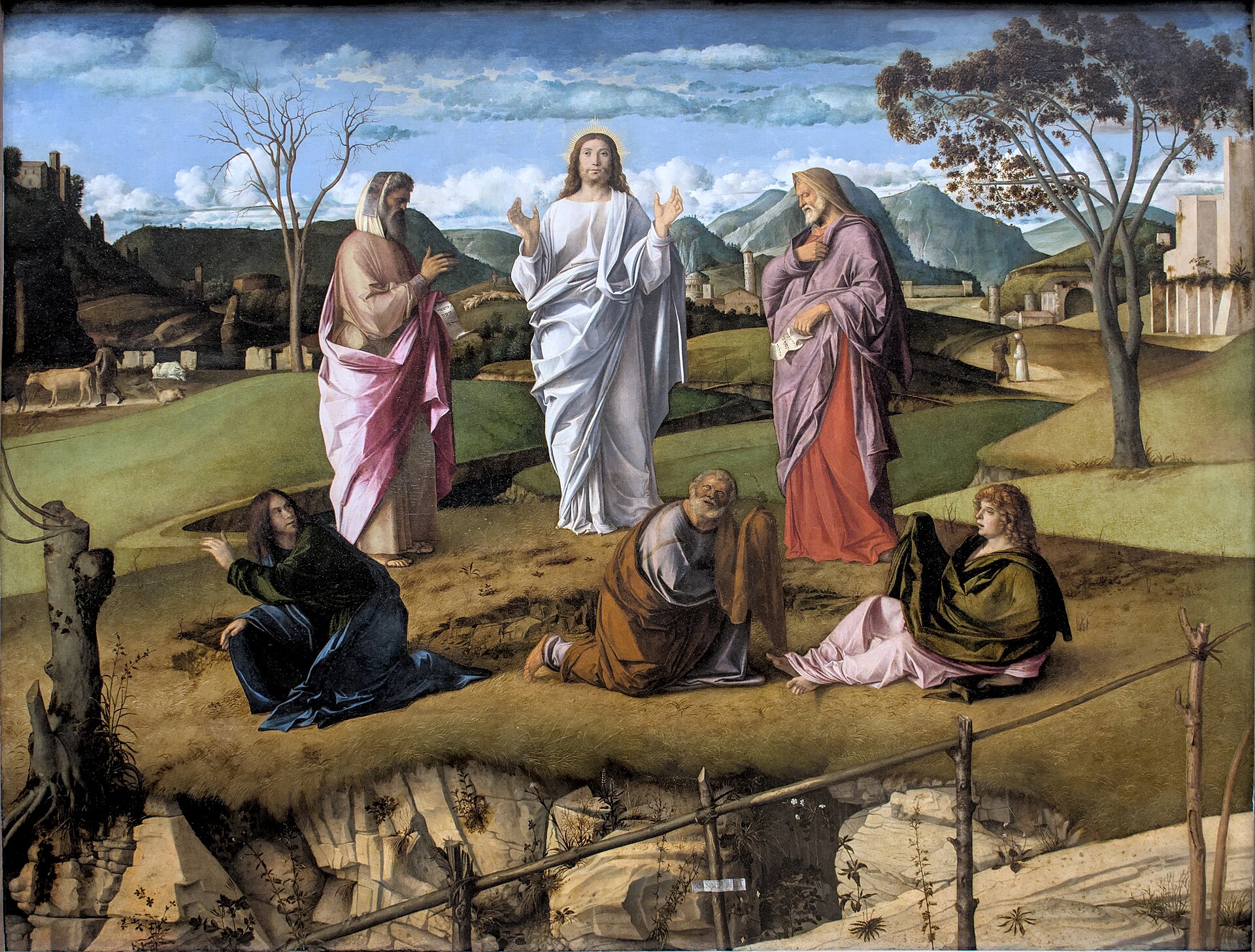 la trasfigurazione di giovanni bellini nel museo di capodimonte