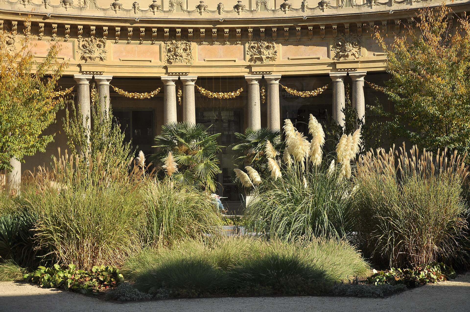 il peristilio curvo del petit palais di parigi visto dal giardino interno, con le colonne di granito, i festoni dorati e i ciuffi chiari della pampa in primo piano