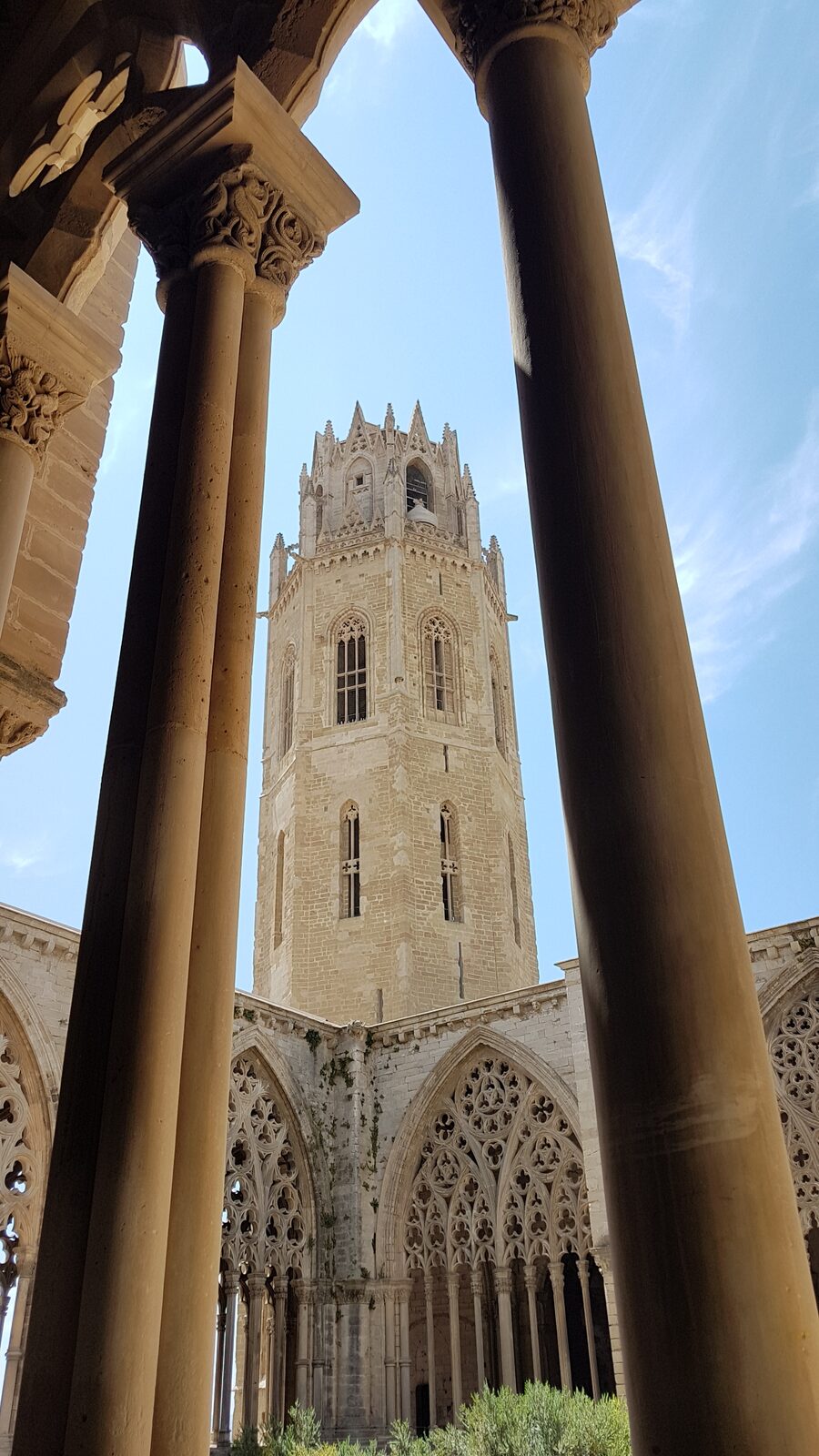 the octagonal bell tower of the Seu Vella of Lleida seen from the cloister, between two columns and above the traceried arcades