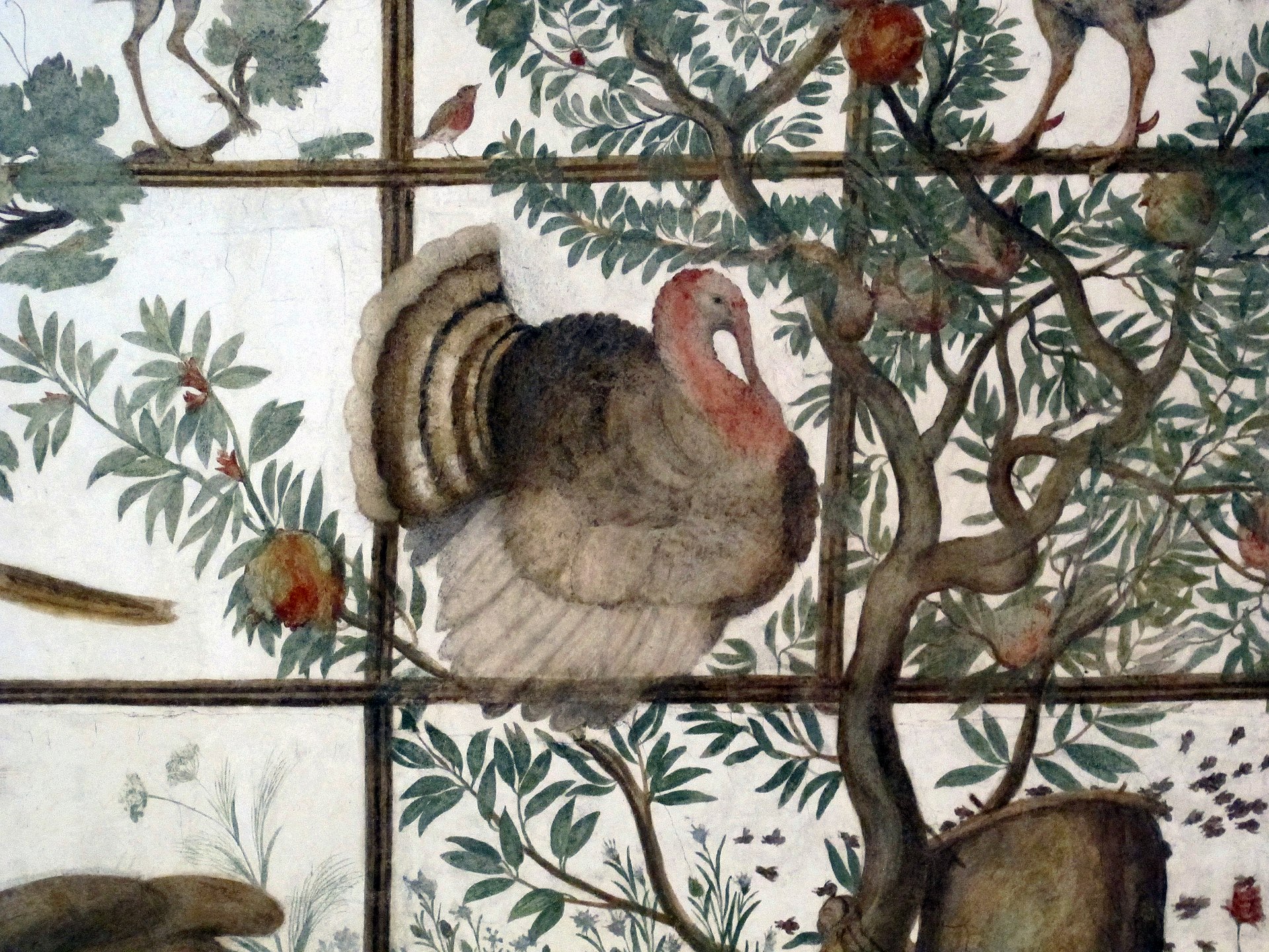 the turkey painted by jacopo zucchi on the vault of the studiolo, with its fanned tail and red neck, among the branches of a pomegranate resting on the trellis of the pergola, with a robin just above