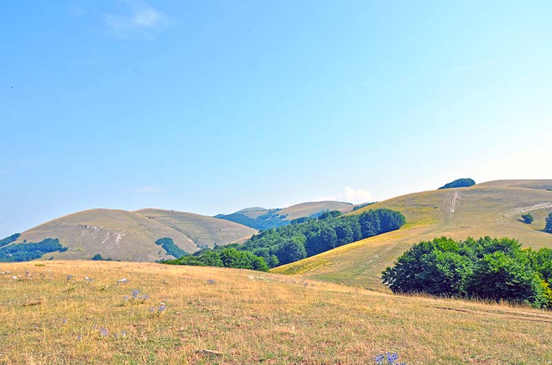 Sulla cima del parco nazionale dei monti sibillini