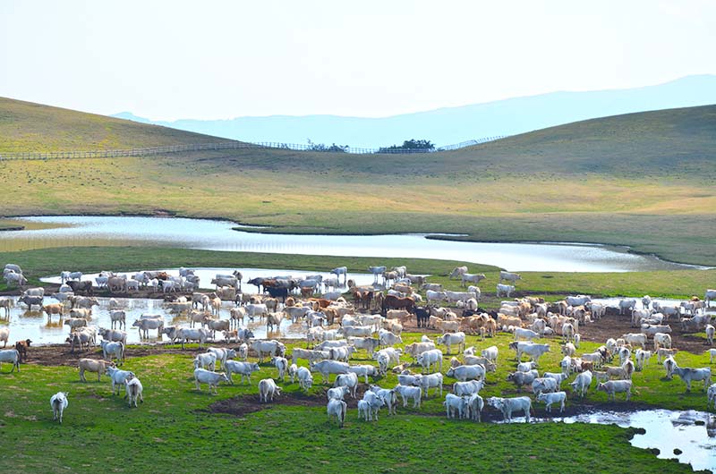 Parco nazionale dei monti sibillini umbria