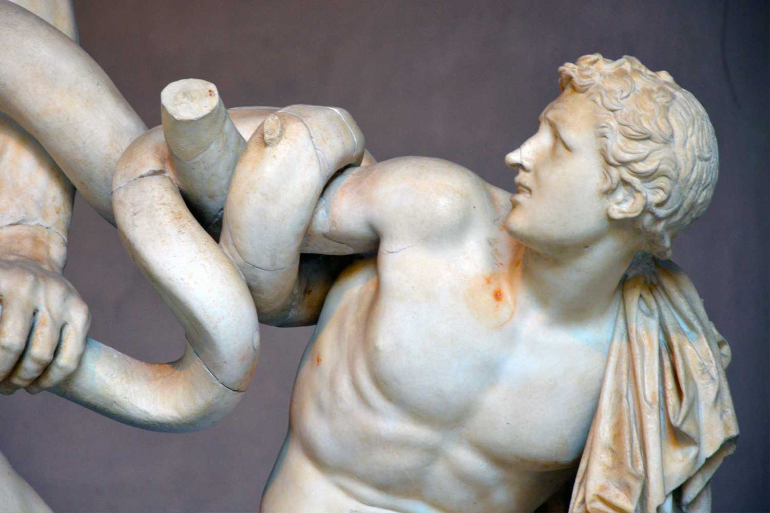 laocoon détail