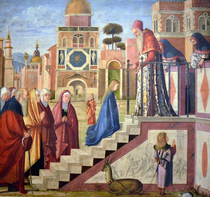 carpaccio, presentazione della vergine al tempio, alla pinacoteca di brera