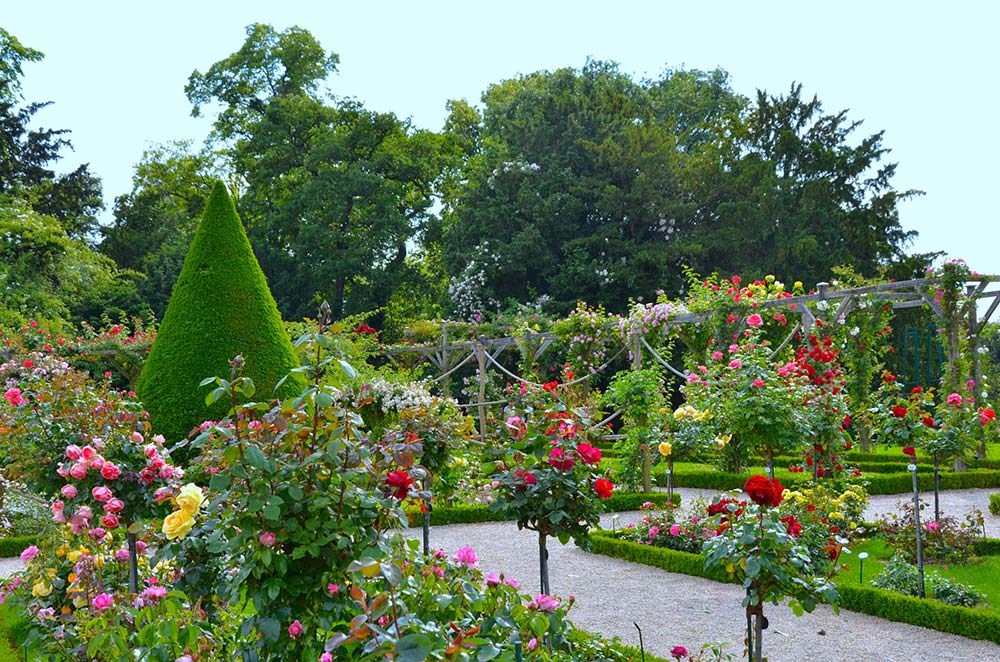 prati e rose al roseto di Bagatelle a Parigi