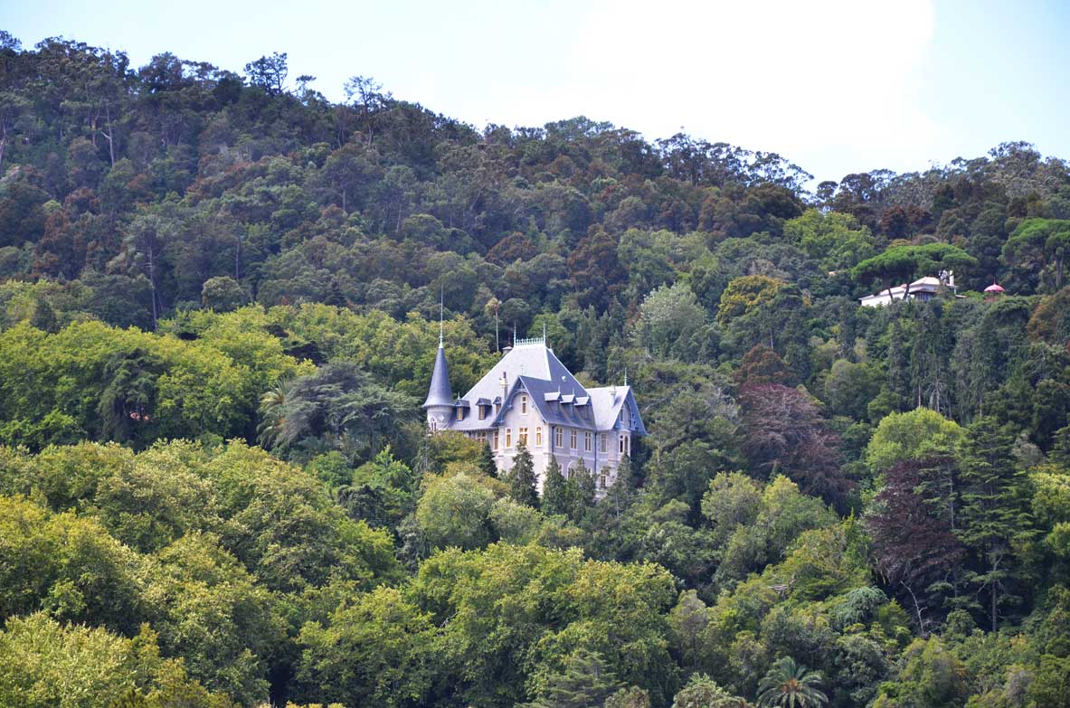 visitare sintra, palazzo nel mezzo della foresta