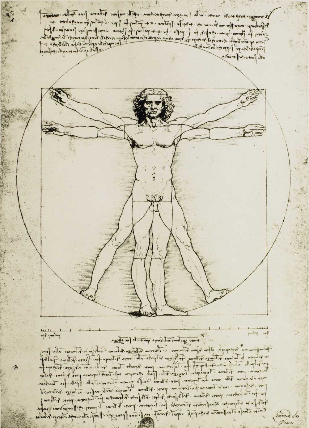 Vitruvian Man