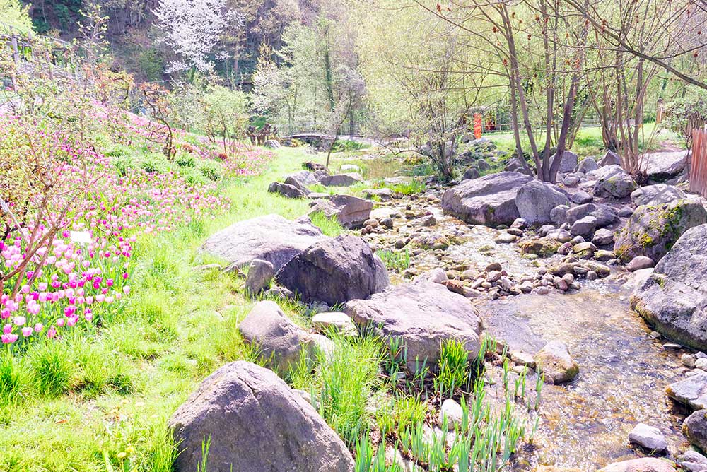I giardini del castello Trauttmansdorff